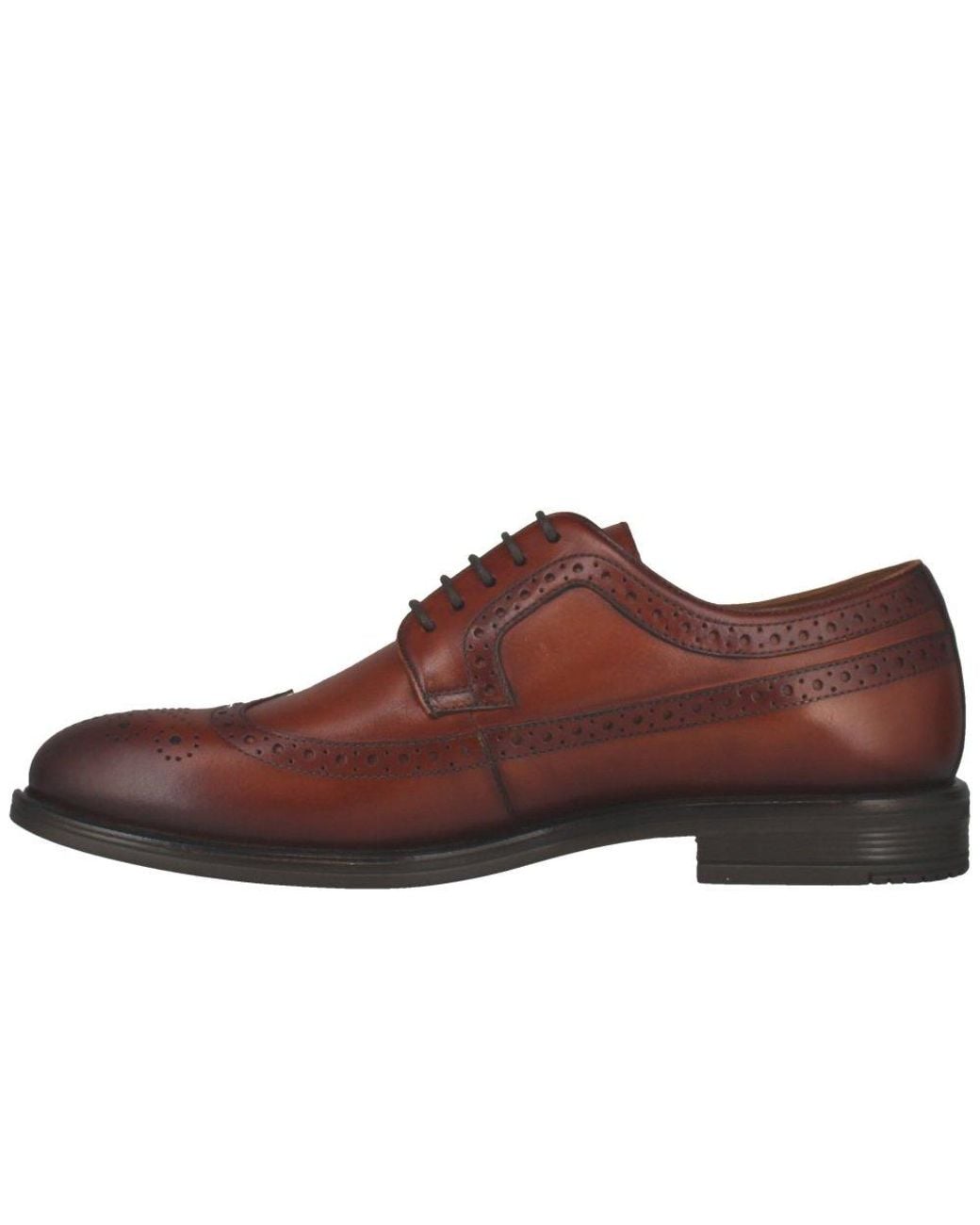 Josef Seibel Brown Cedric 05 Brogues for men