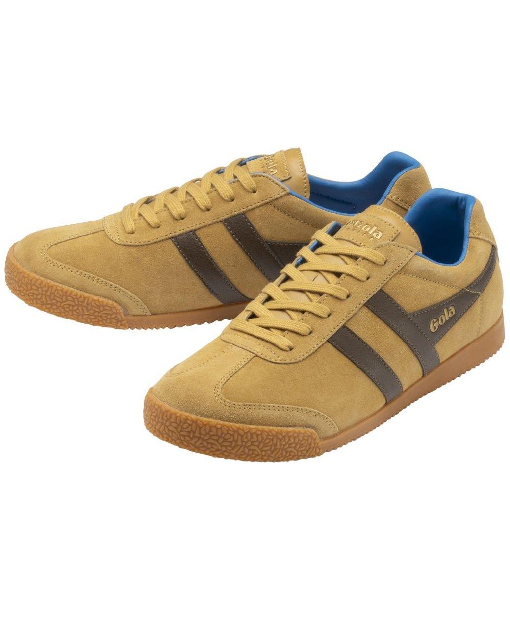 Gola Brown Harrier Trainers for men