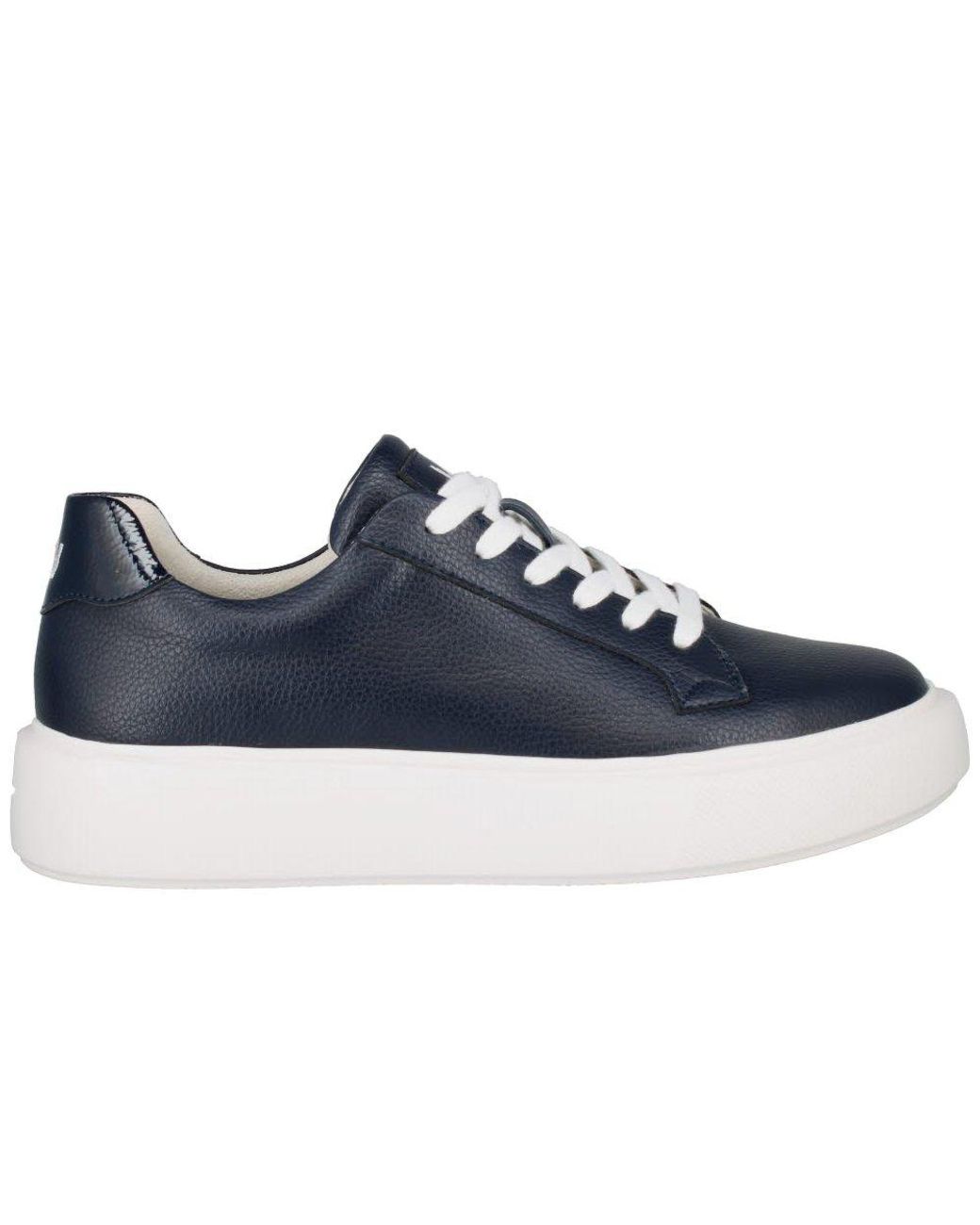 Westland Blue Kate 03 Trainers