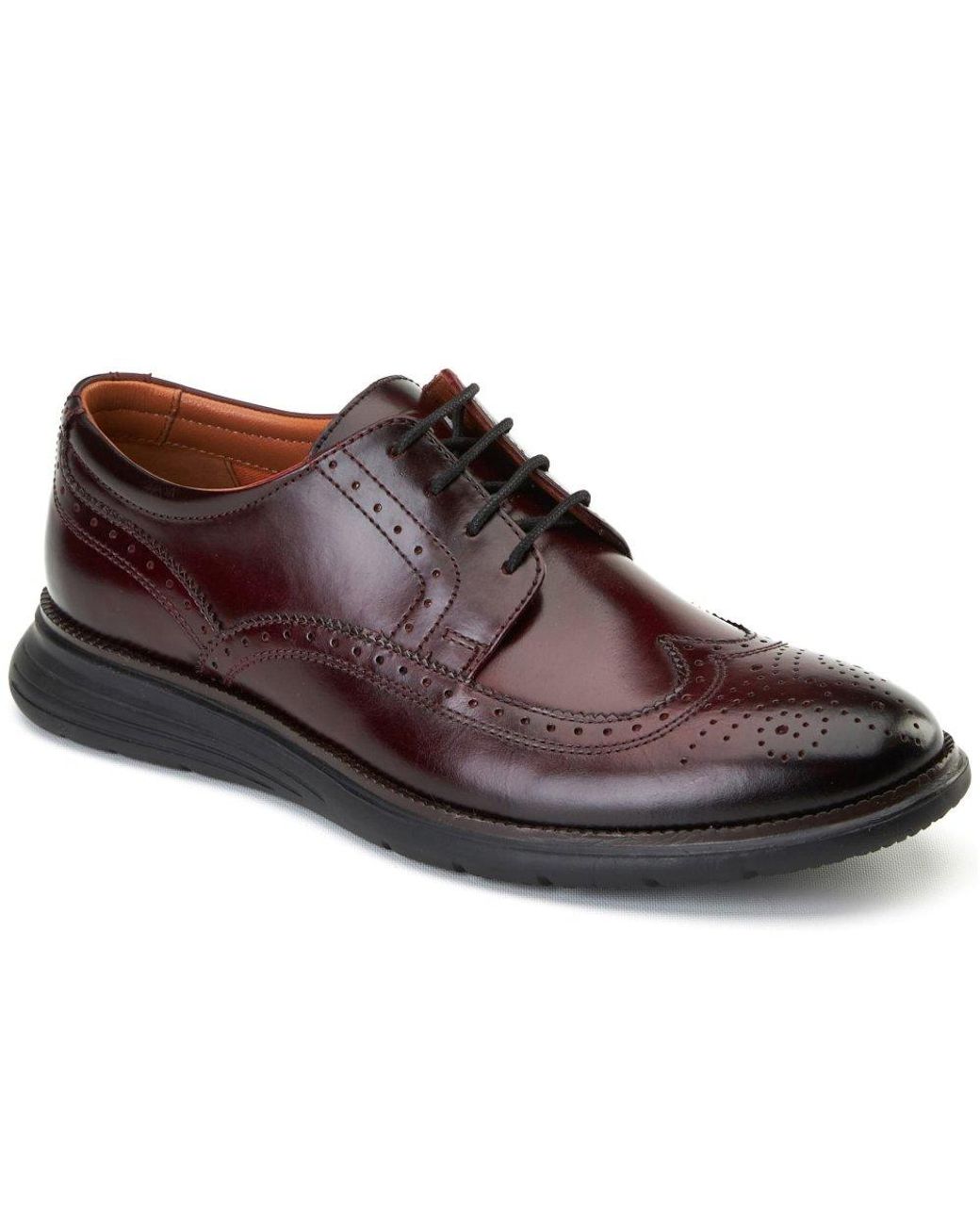 Base London Brown Flight 25 Brogue for men