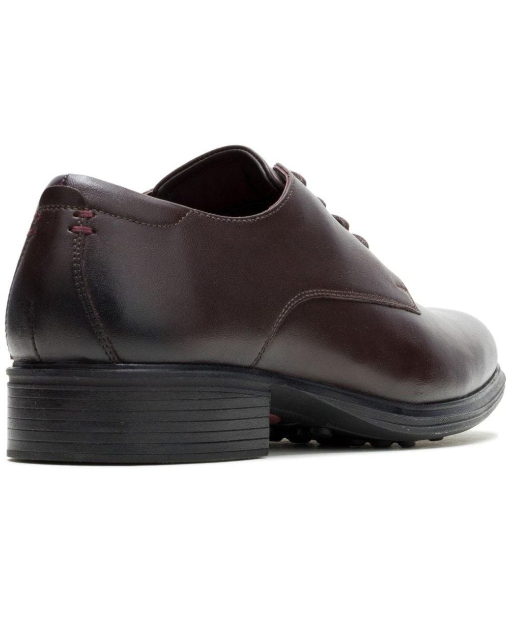 Hush Puppies Brown Lewis Oxford Shoes for men
