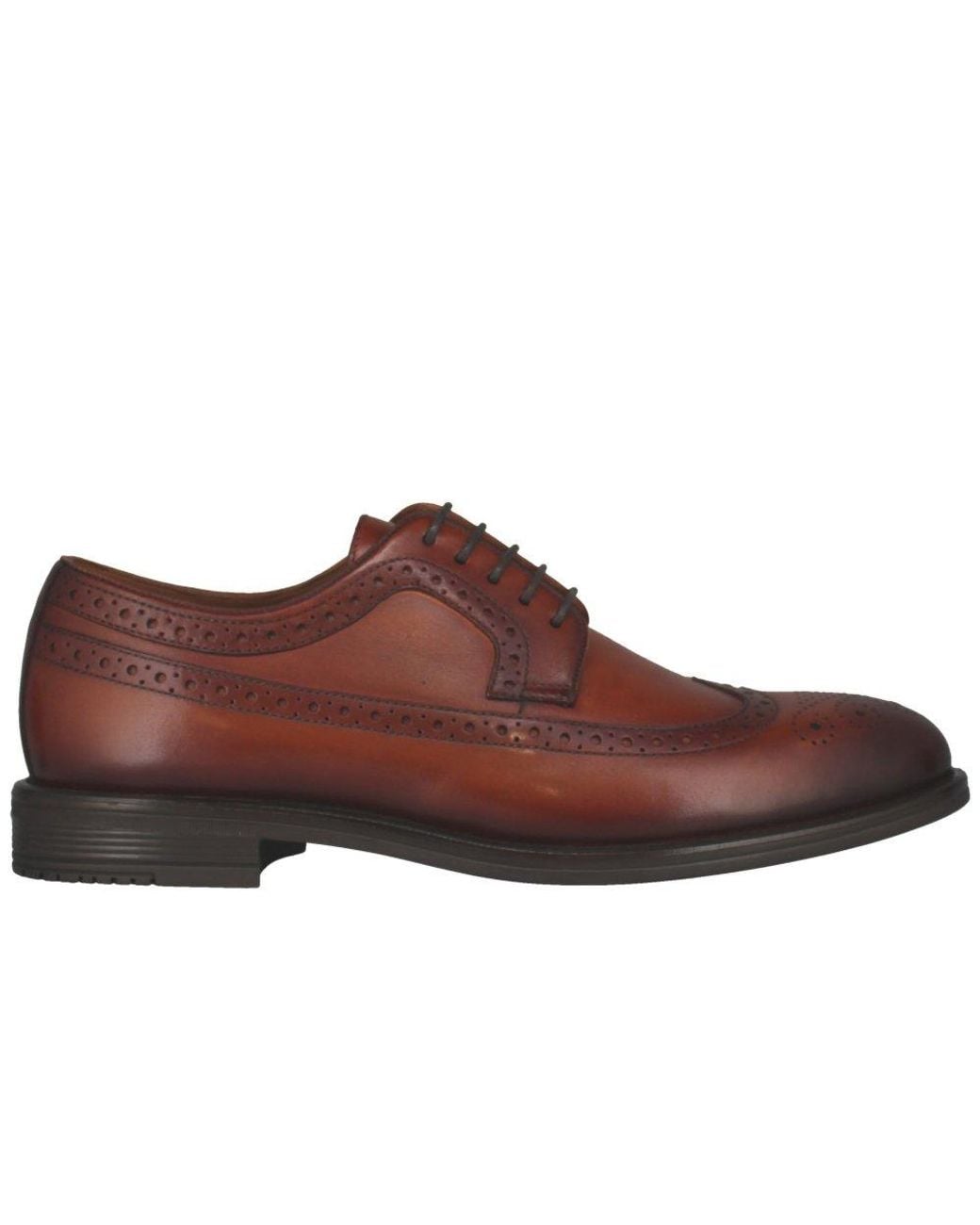 Josef Seibel Brown Cedric 05 Brogues for men