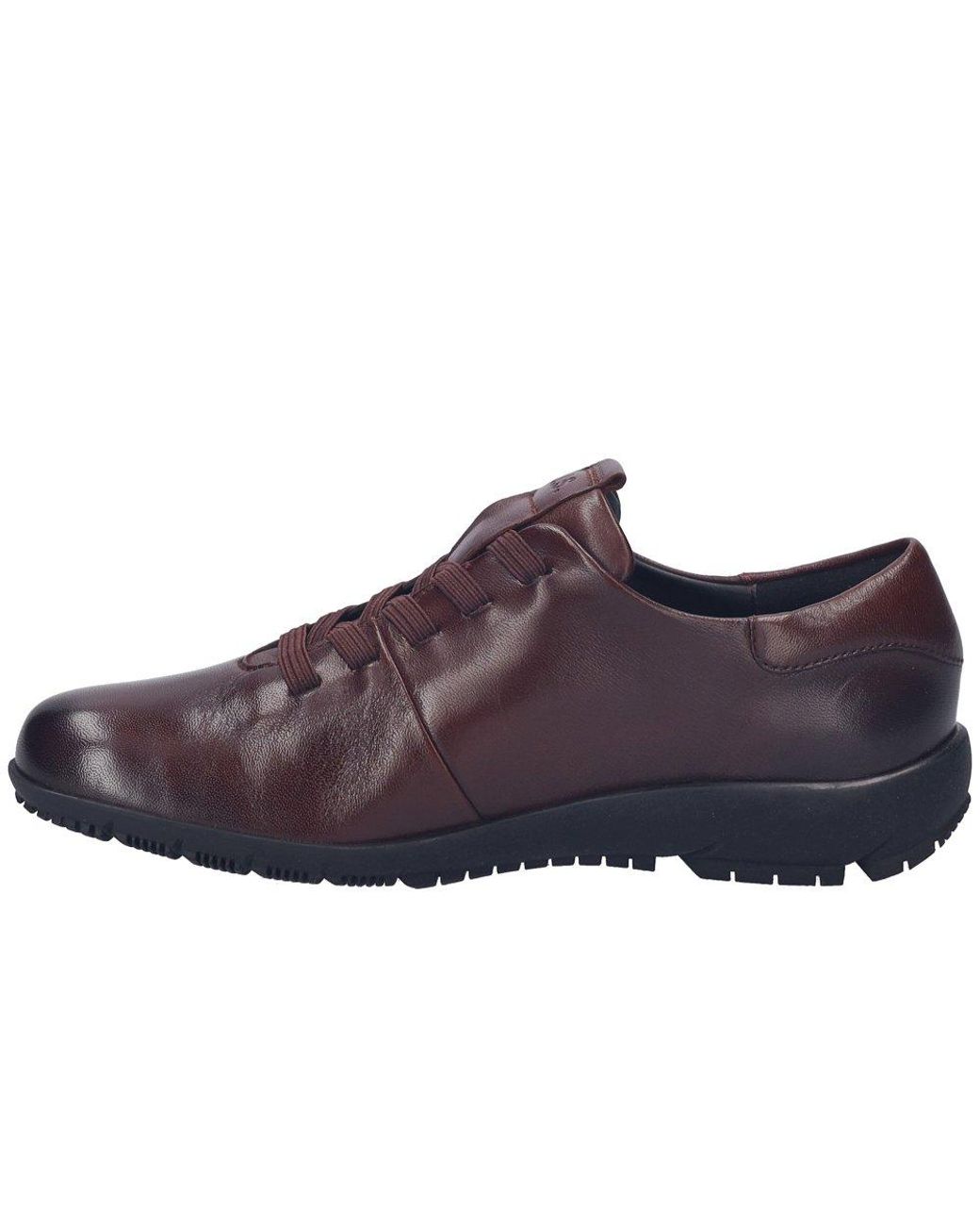 Josef Seibel Purple Charlotte 01 Lace Up Shoes