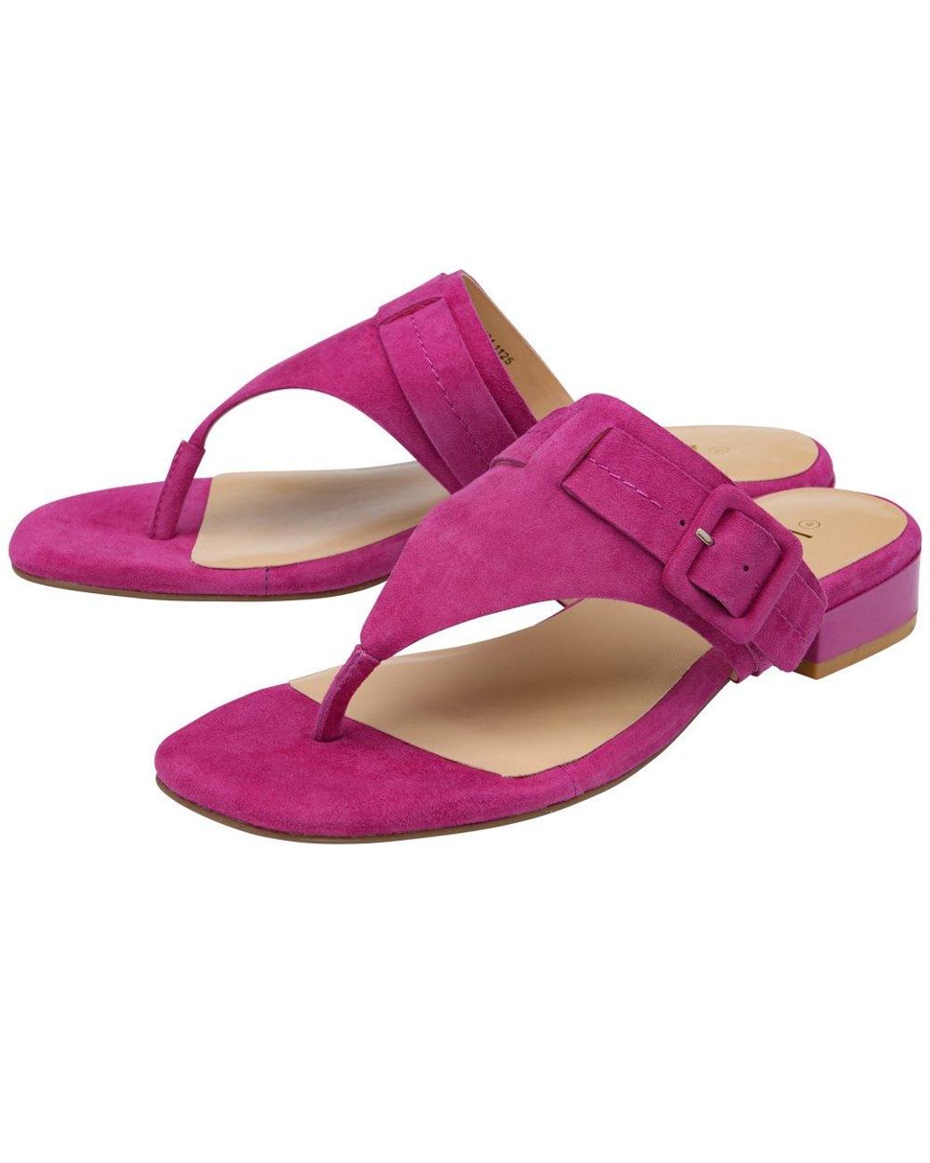 Lotus Purple Vittoria Toe Post Sandals