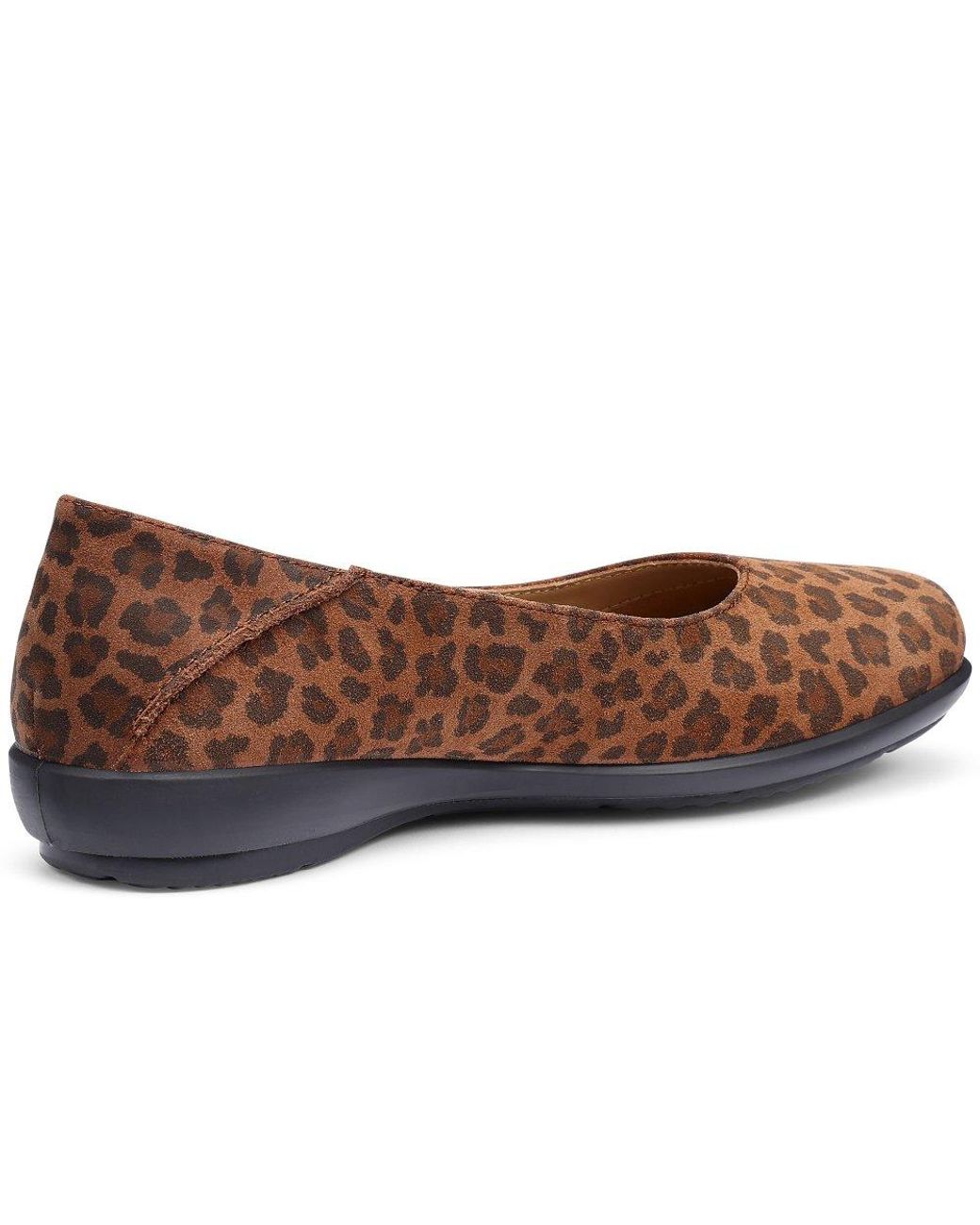 Hotter Brown Birdie Wide Ballet Pumps