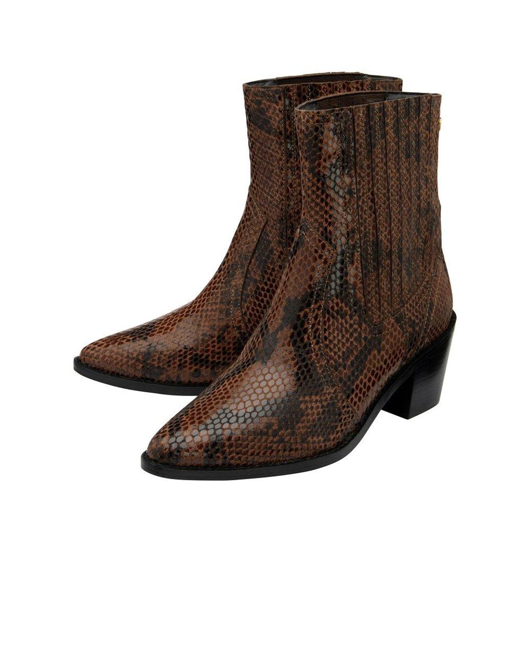 Ravel Brown Langton Ankle Boots