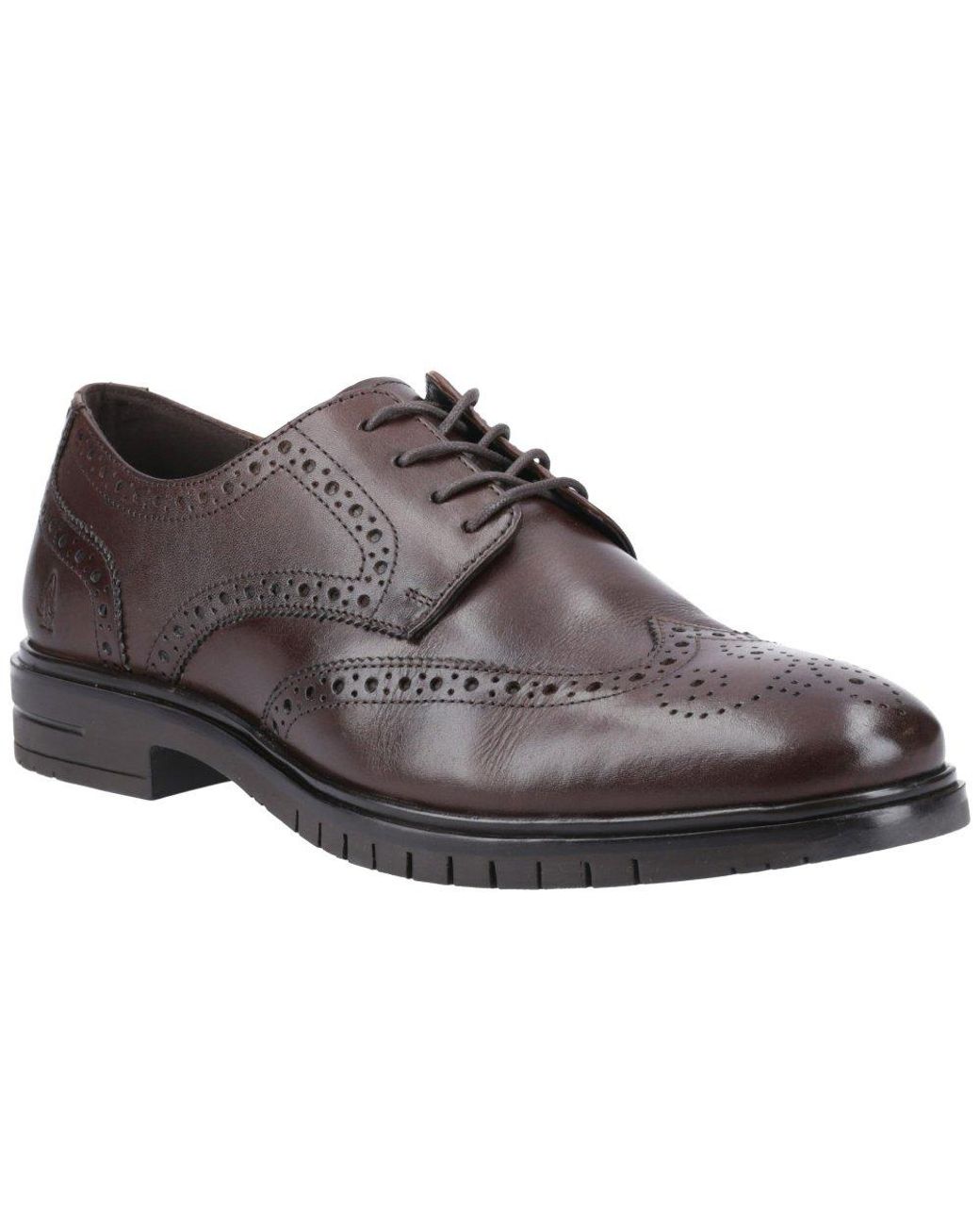 Hush Puppies Brown Santiago Brogues for men