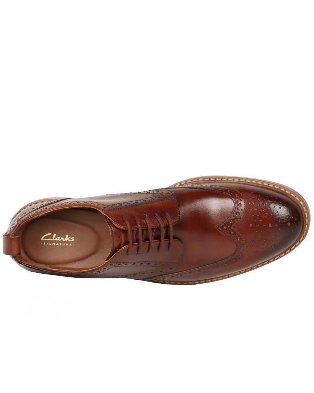 Clarks Brown Aldwin Limit Brogues for men