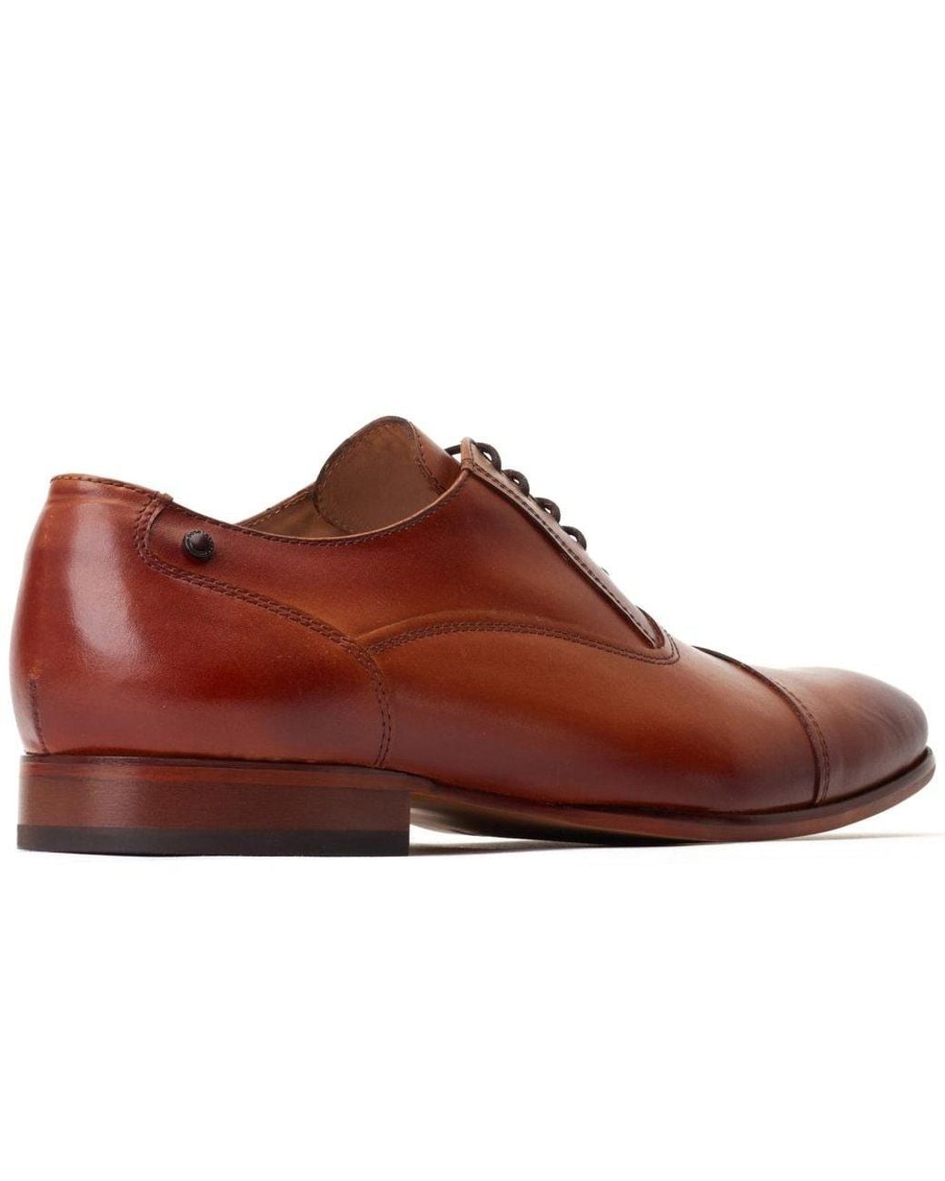Base London Brown Angelo Derby Shoes for men