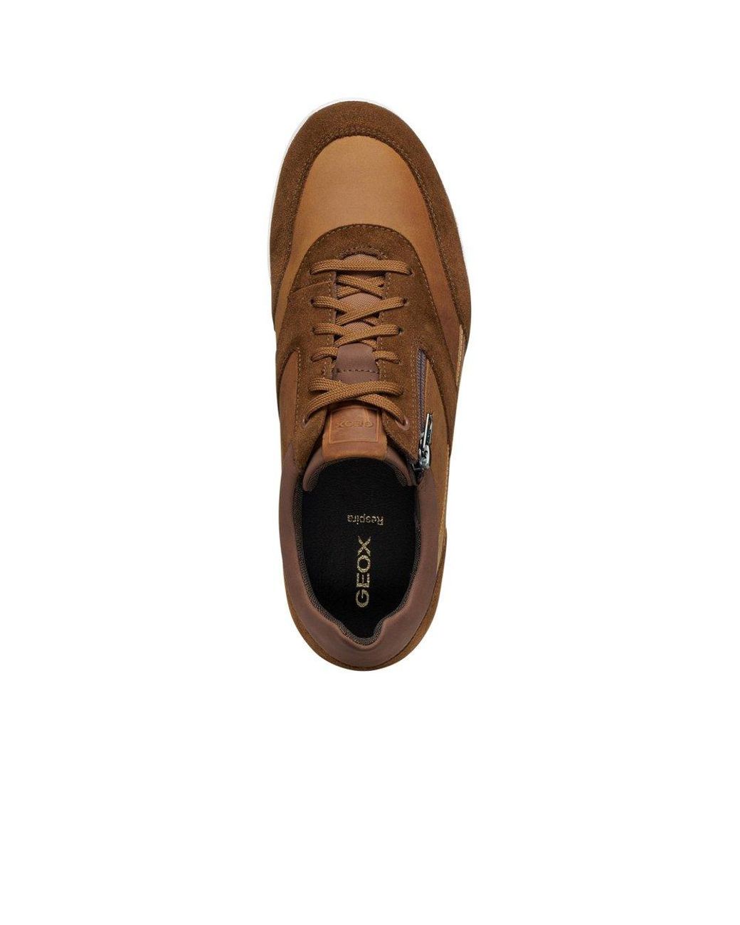 Geox Brown U Renan A Trainers for men