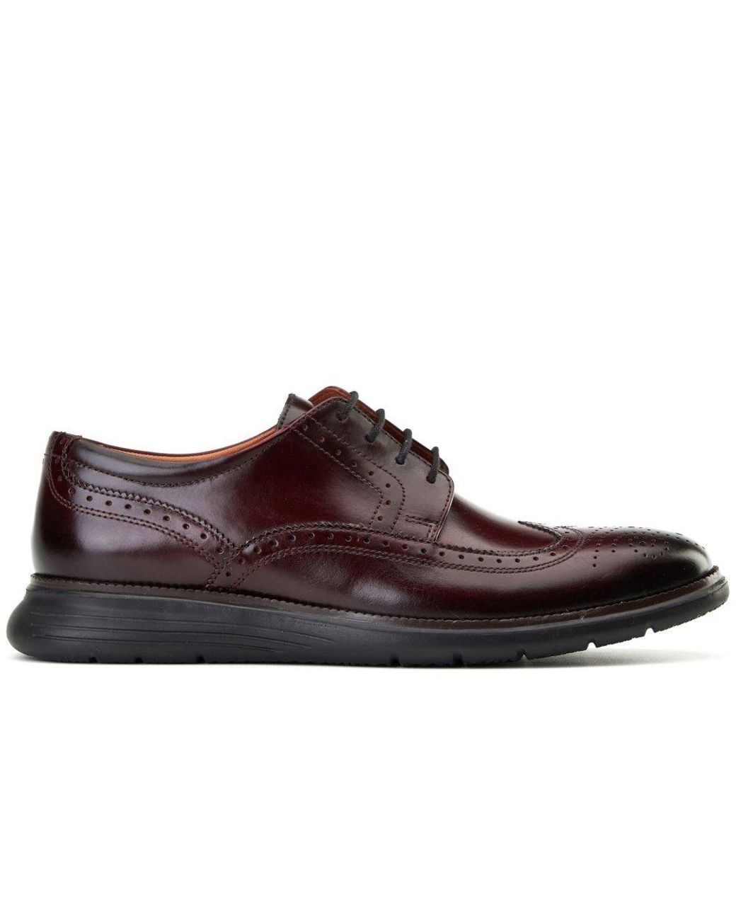 Base London Brown Flight 25 Brogue for men