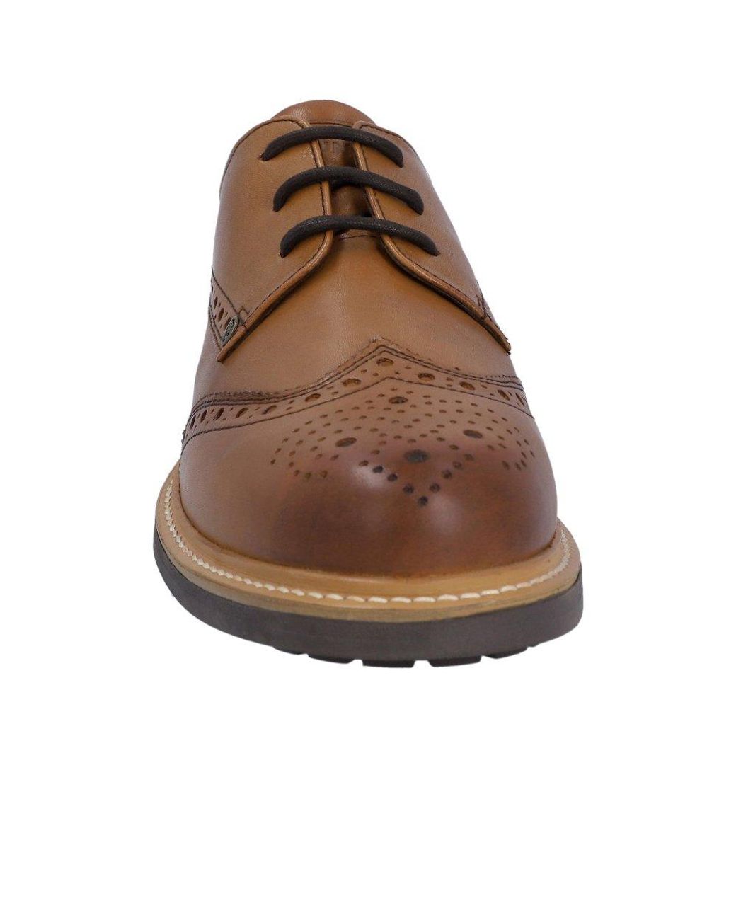 Hunter Brown Cawdor Brogue Gibson Shoes for men