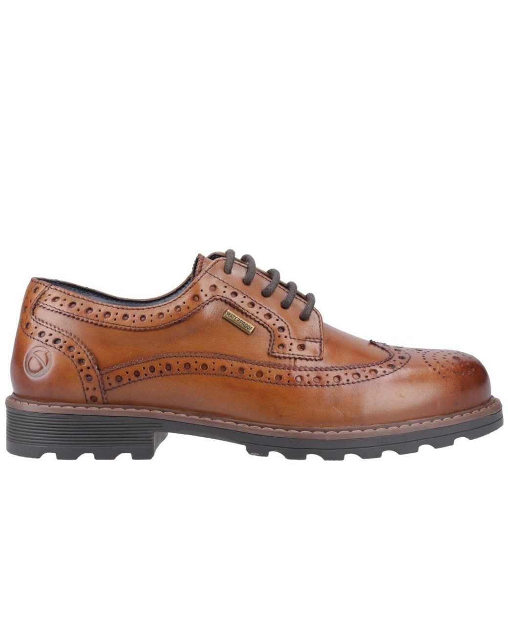 Cotswold Brown Ramsen Brogues for men