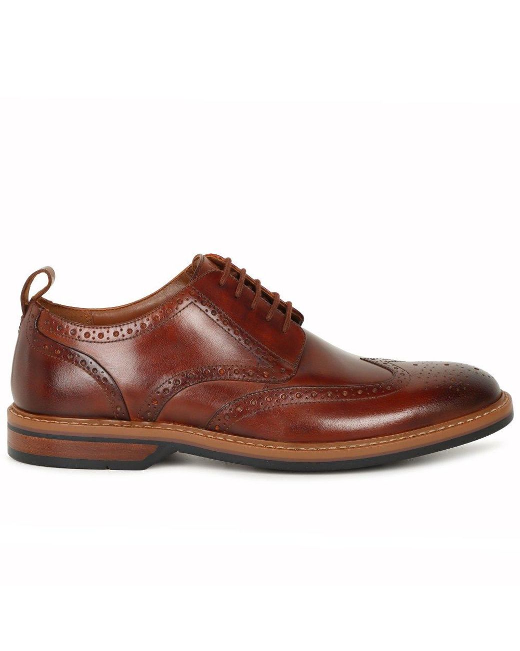 Clarks Brown Aldwin Limit Brogues for men