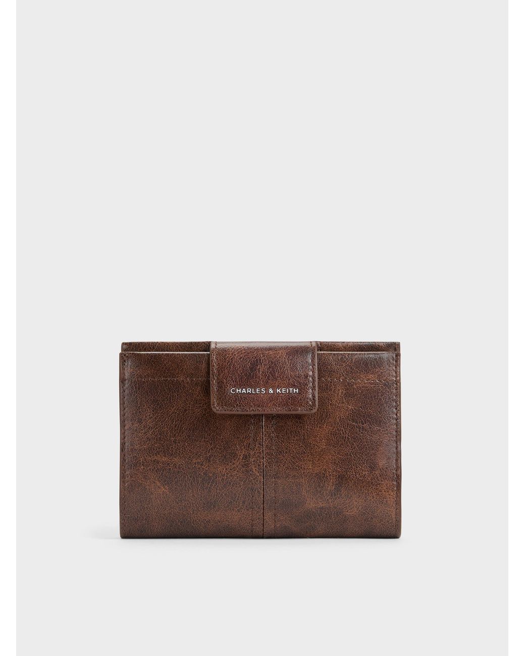 Charles & Keith Brown Noane Passport Holder
