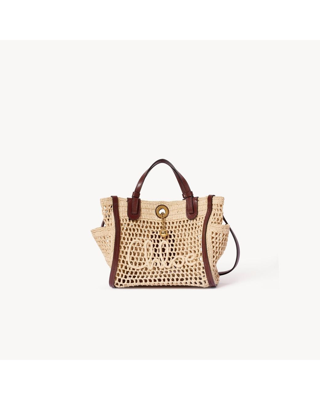 Chloé Metallic Small Iconic Double Carry Bag
