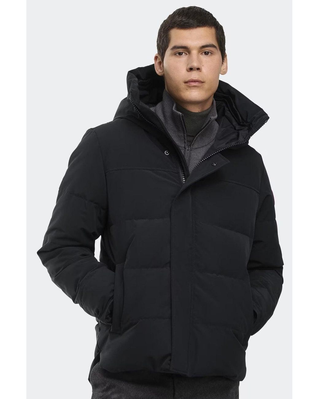 Canada Goose Blue Macmillan Parka for men