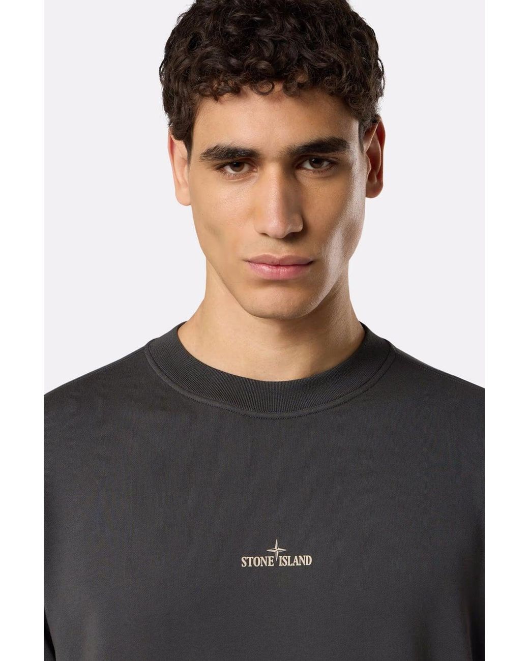 Stone Island Gray S0195 Branded Sweatshirt for men