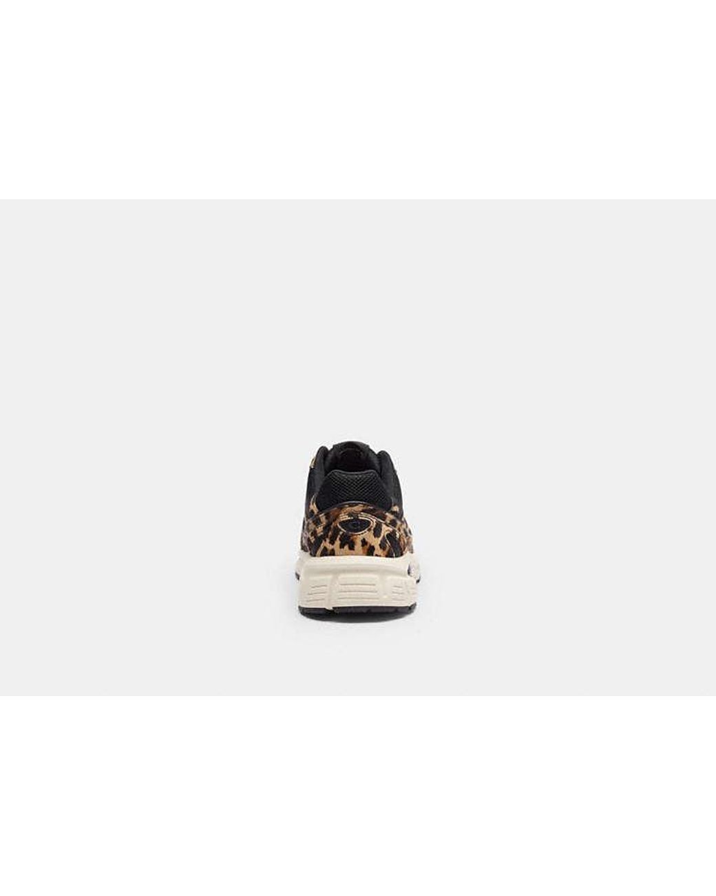 COACH Black Sport Sneaker With Leopard Print