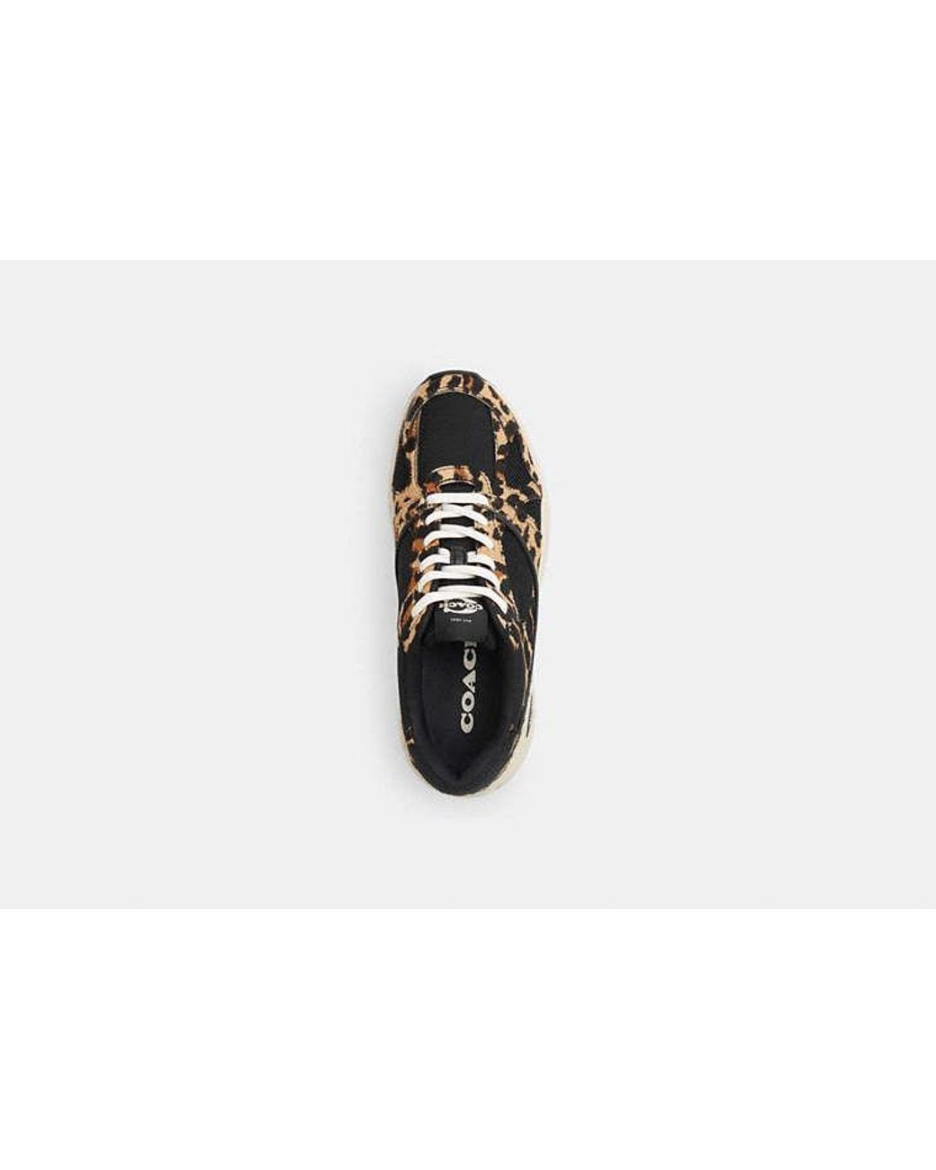 COACH Black Sport Sneaker With Leopard Print