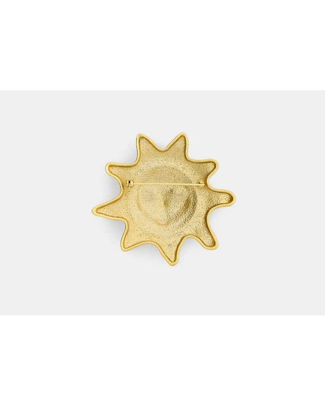COACH Black Sun Brooch