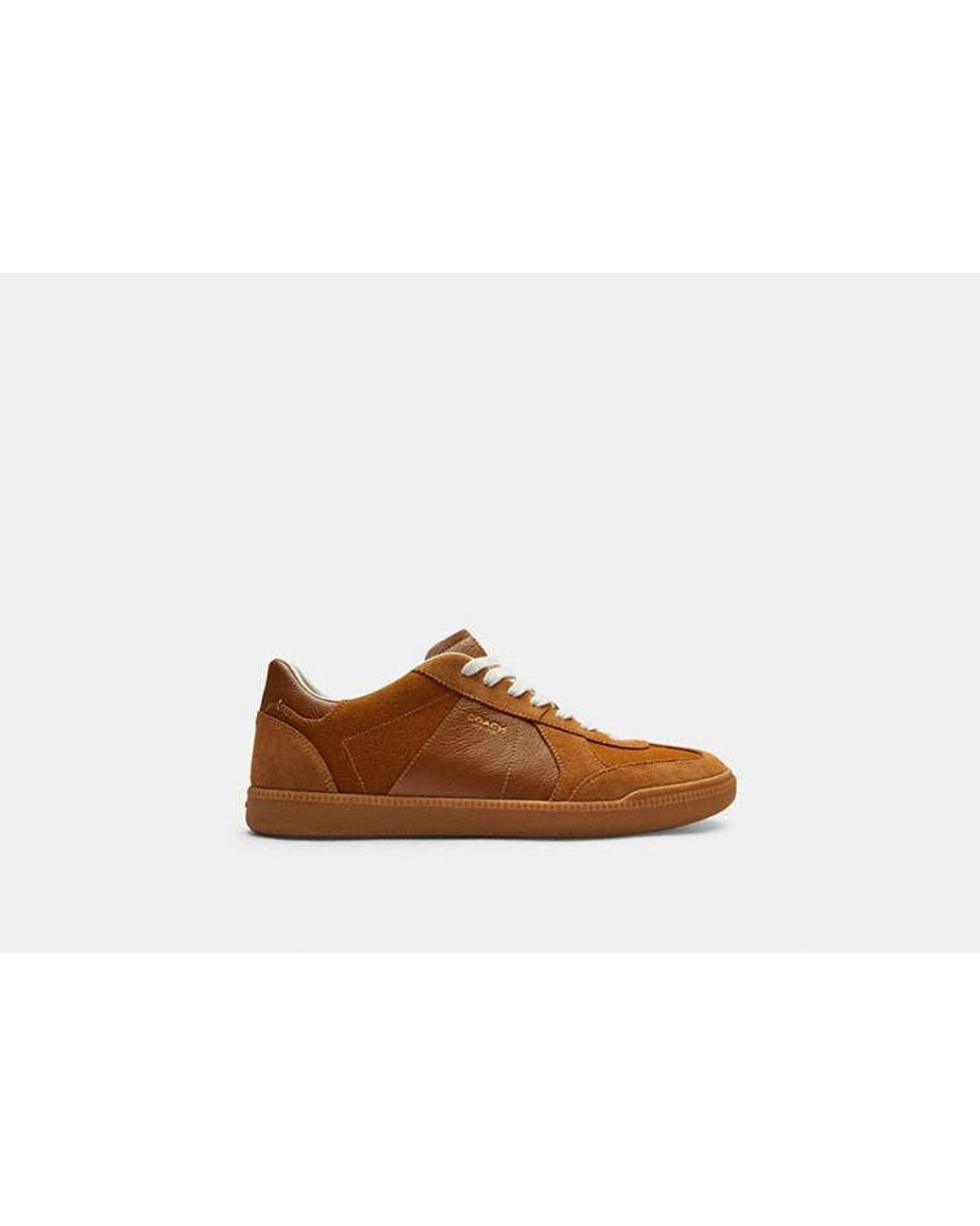 COACH Brown Ellis Sneaker for men