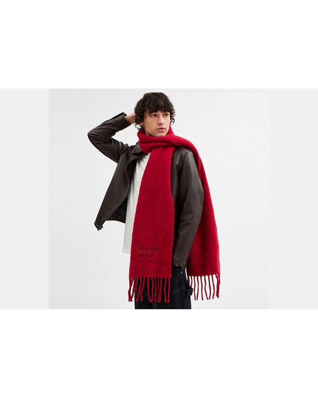COACH New Year Oversized Muffler With Embroidered Snake Script