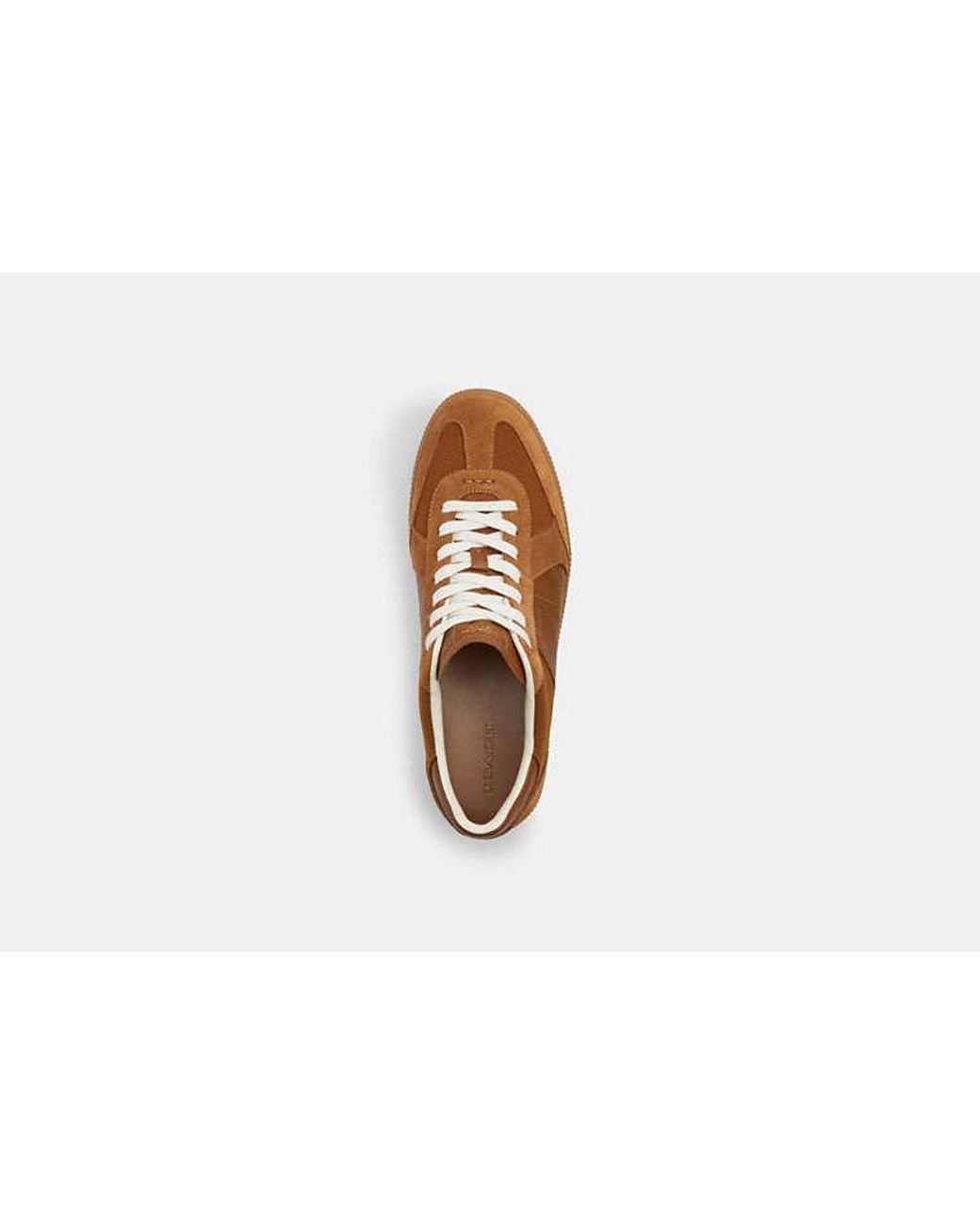 COACH Brown Ellis Sneaker for men