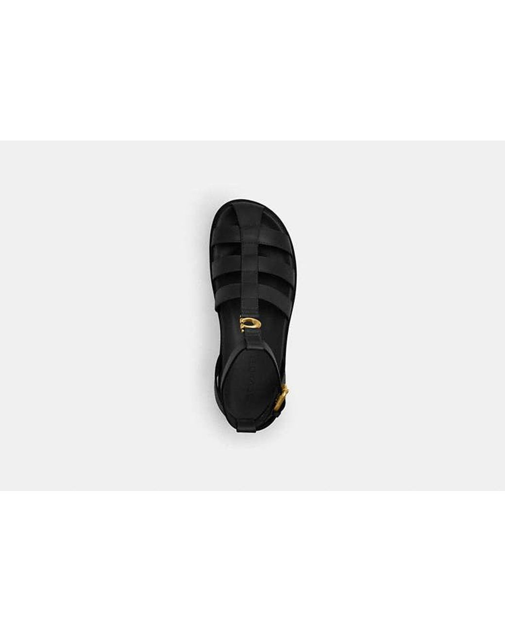 COACH Black Sculpted C Fisherman Sandal