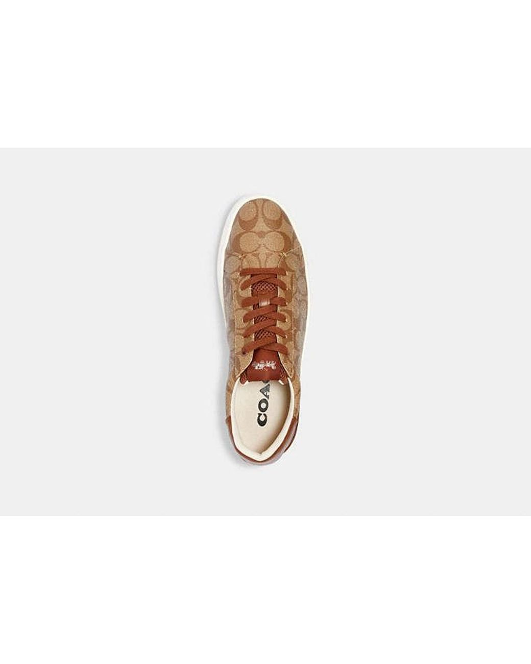 COACH Black Clip Low Top Sneaker for men