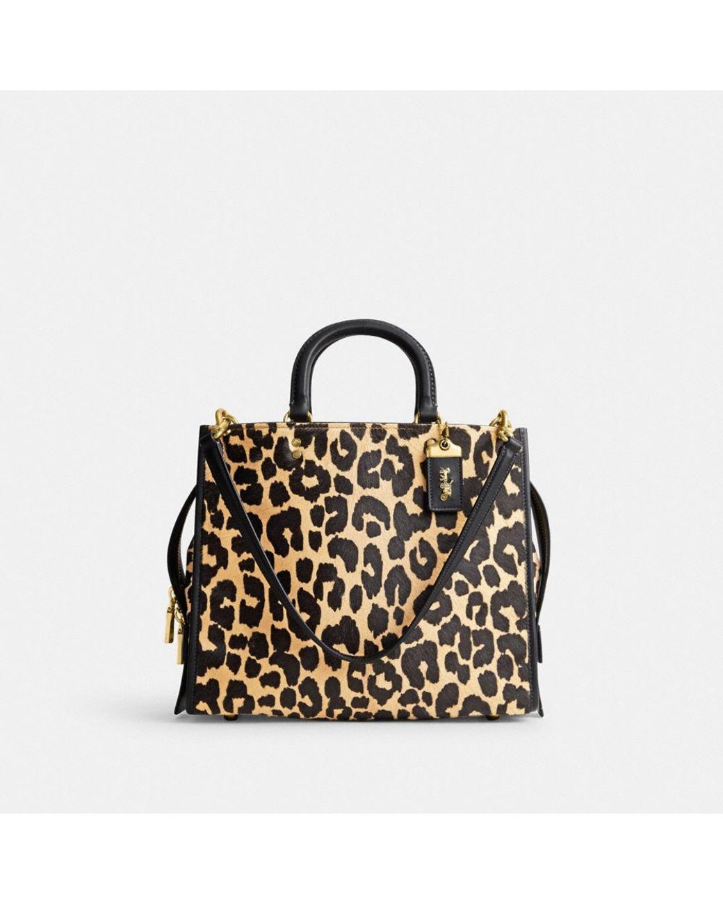 Coach rogue best sale leopard