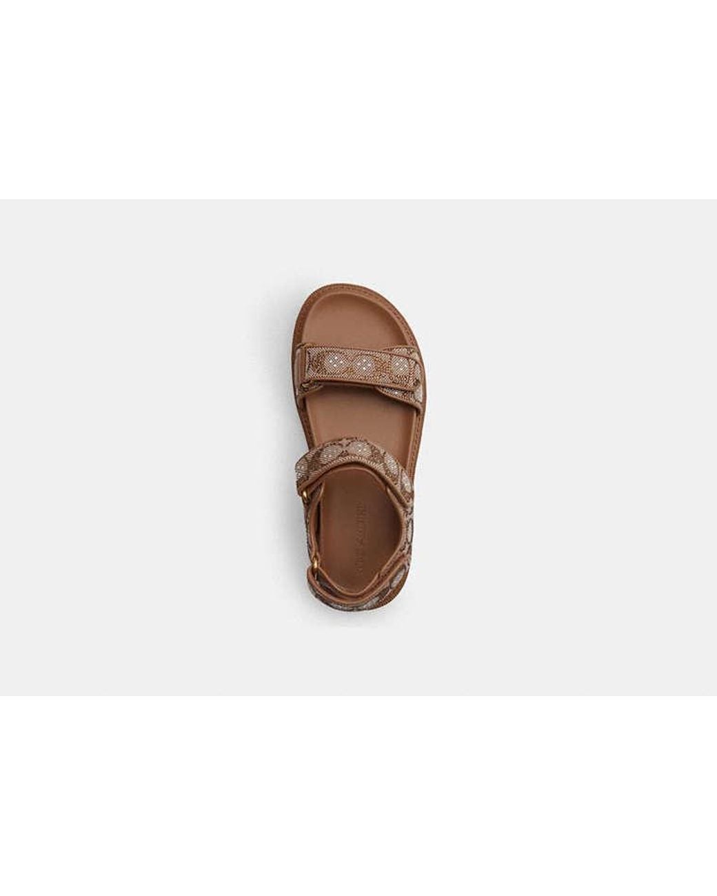COACH Black Brynn Sandal