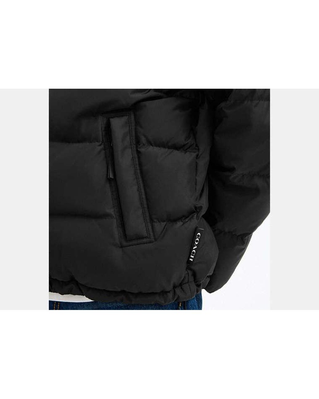 COACH Black Solid Down Jacket for men