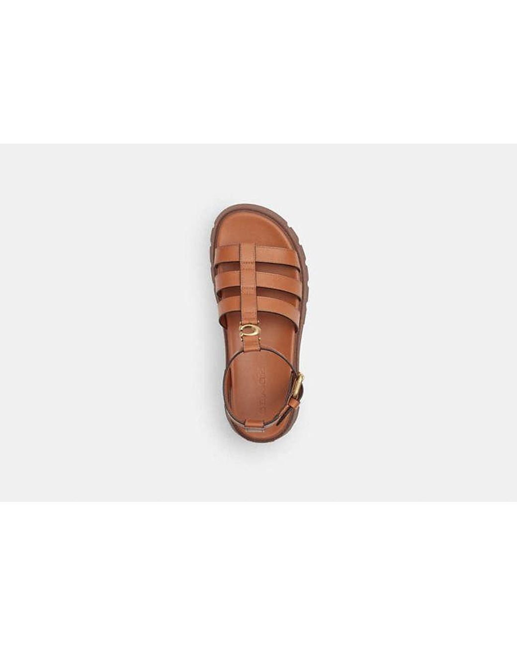 COACH Black Sculpted C Platform Fisherman Sandal