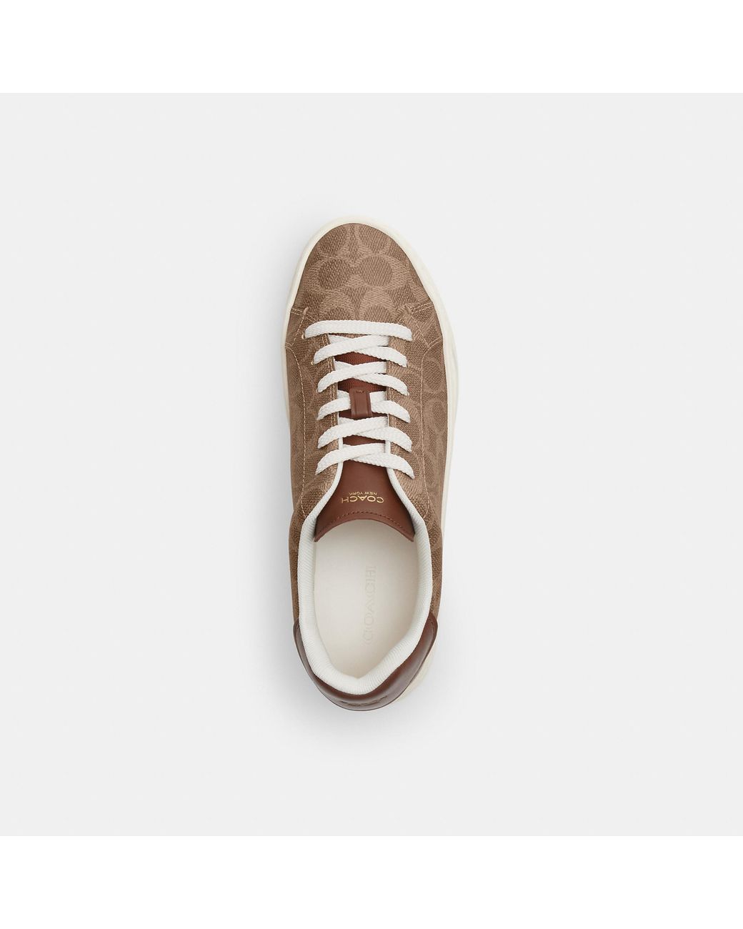 COACH Brown Sneakers High Line