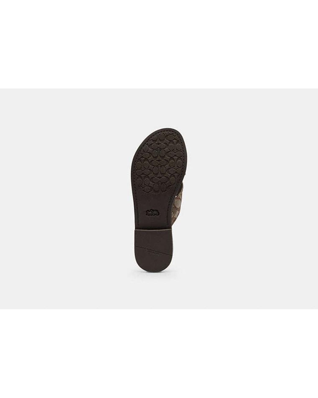 COACH Black Crisscross Buckle Sandal