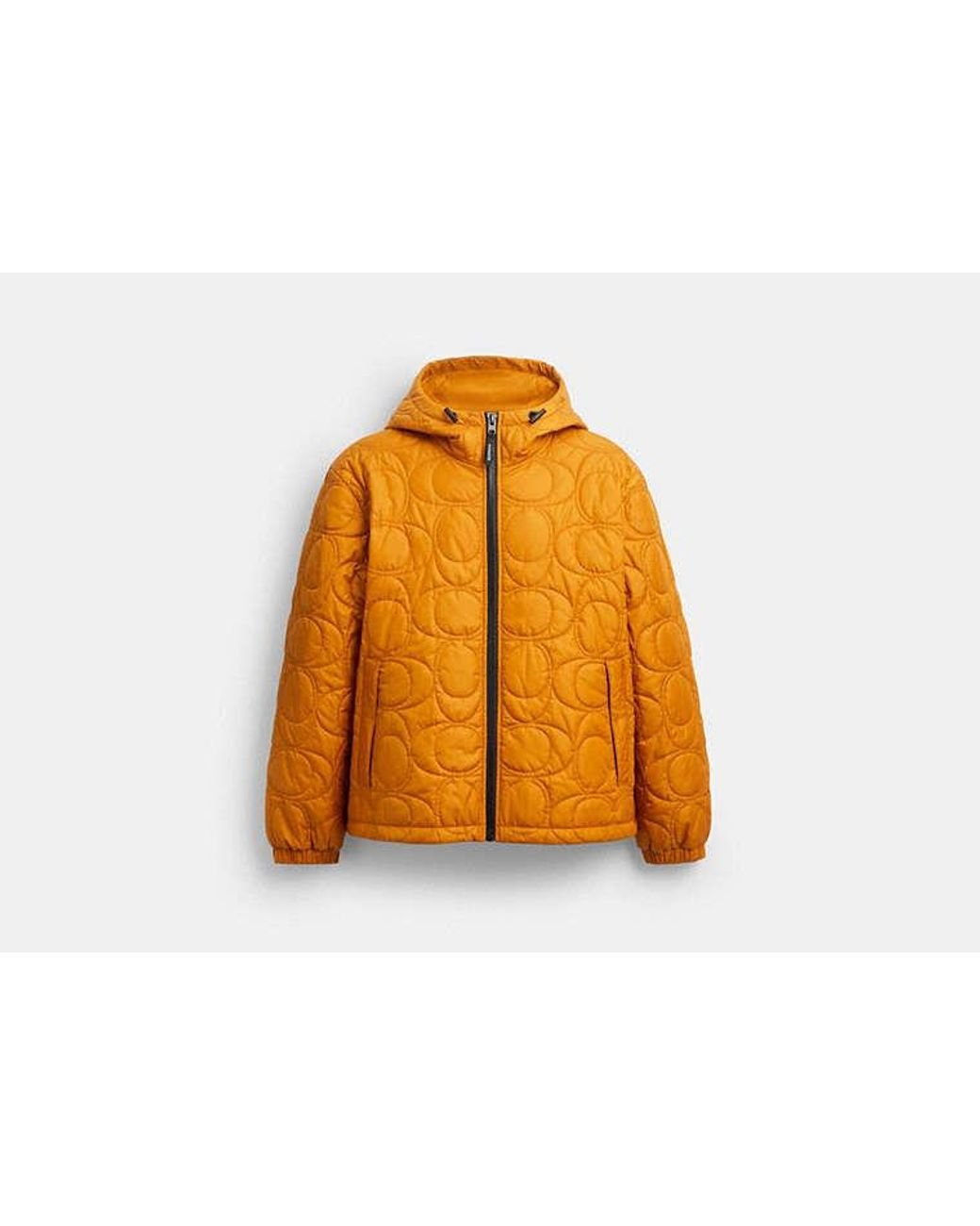 COACH Orange Quilted Signature Puffer Jacket for men
