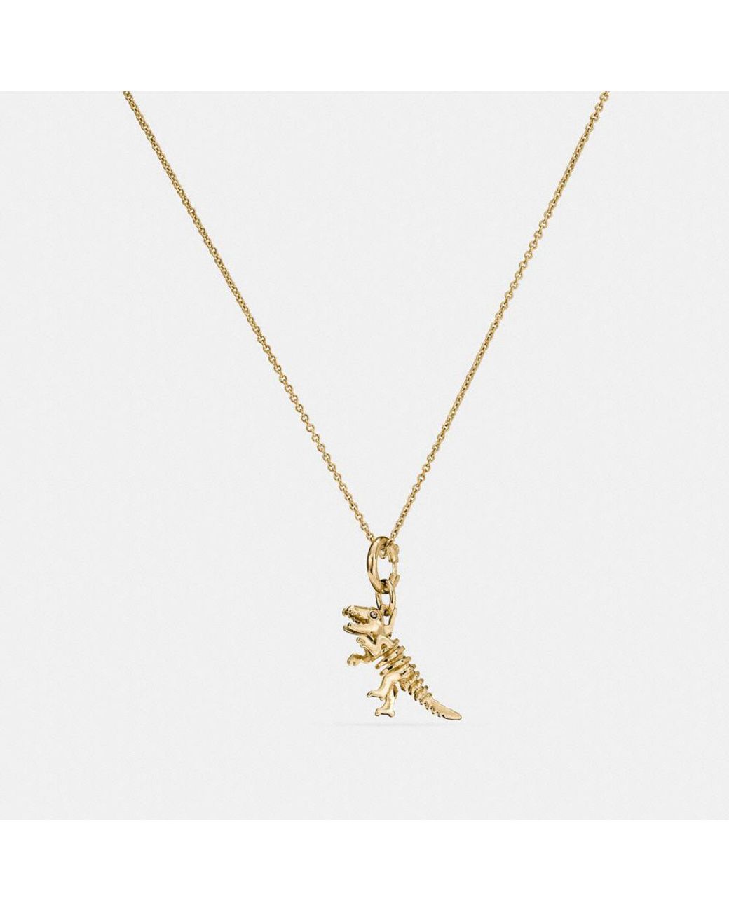 Coach t rex best sale necklace