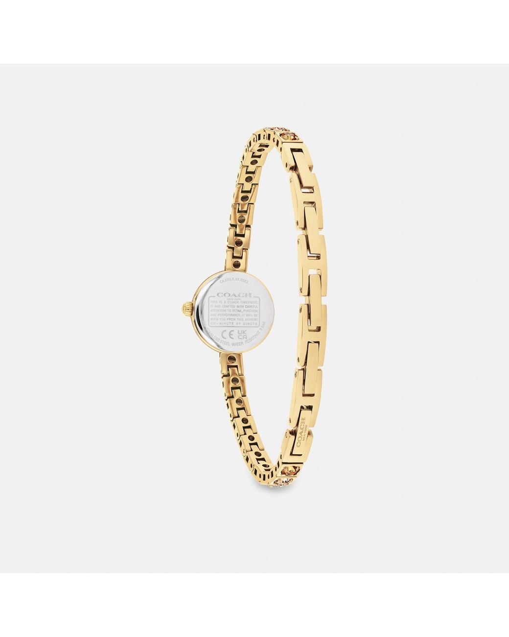 COACH Metallic Iris Watch, 19Mm