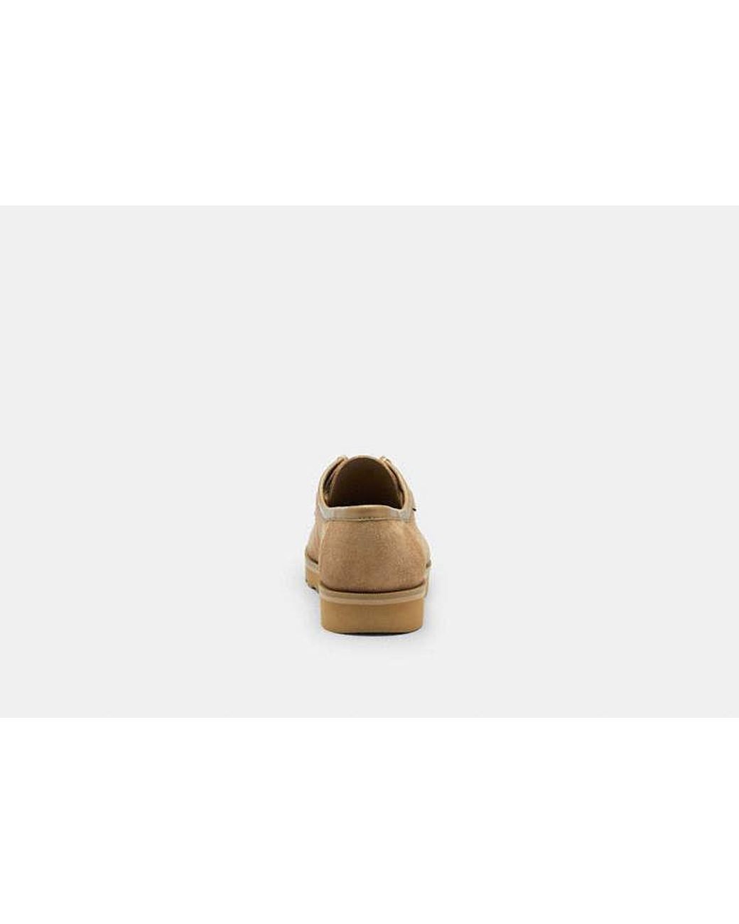 COACH Black Chukka Shoe With Signature Canvas for men