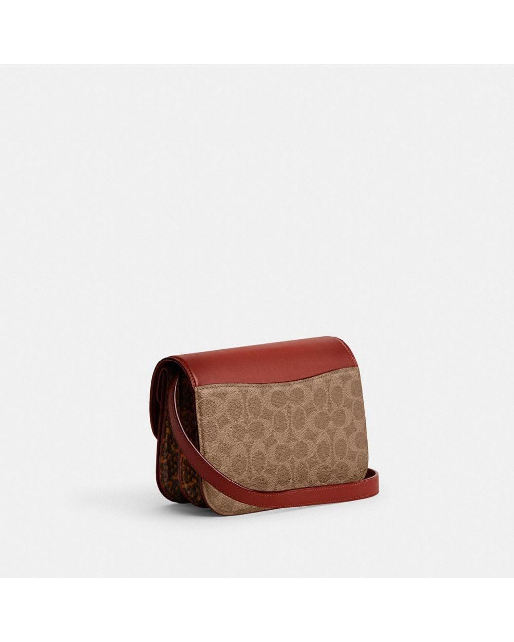 Dreamer in blocked signature canvas with snakeskin detail outlet