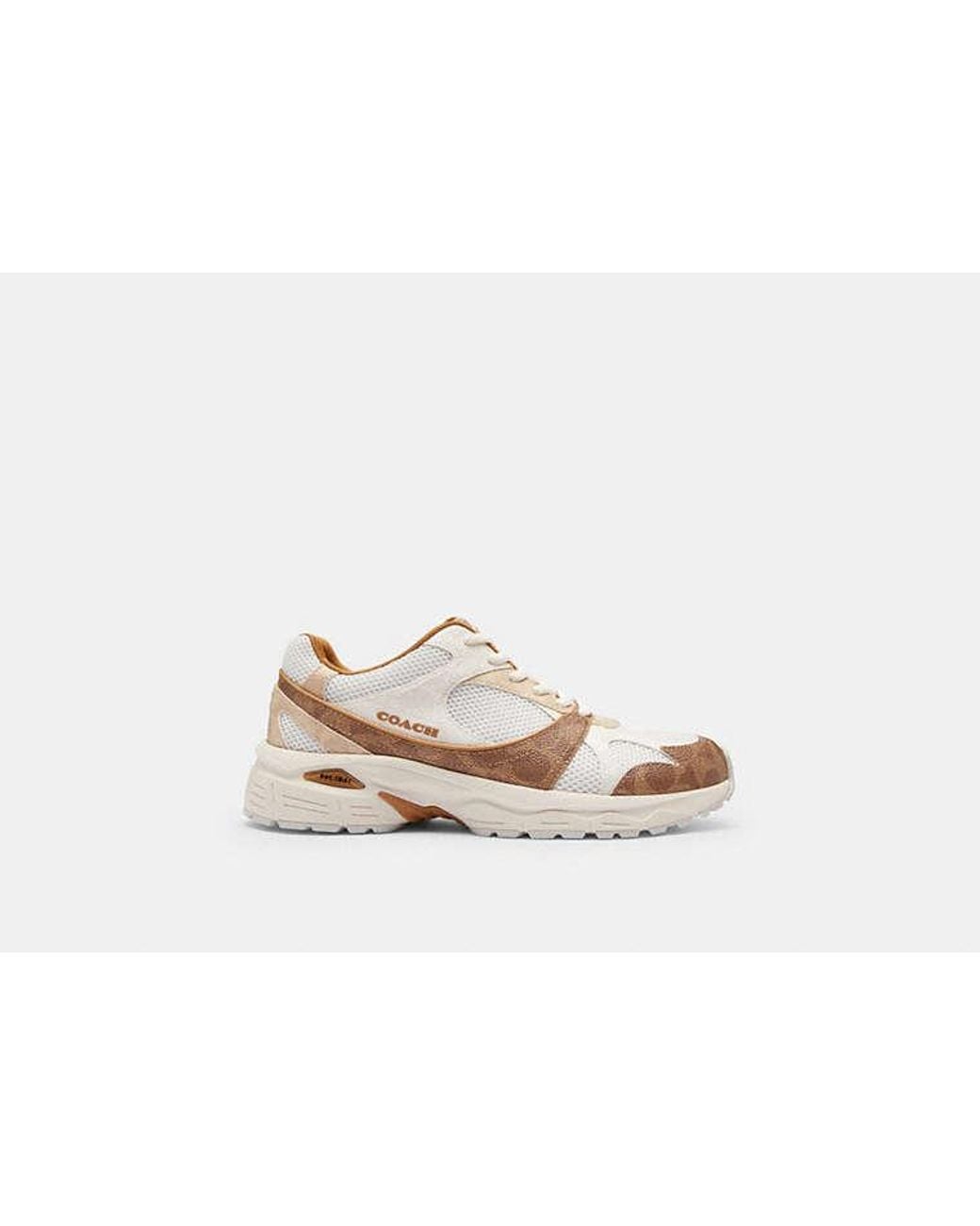 COACH Black Sport Sneaker
