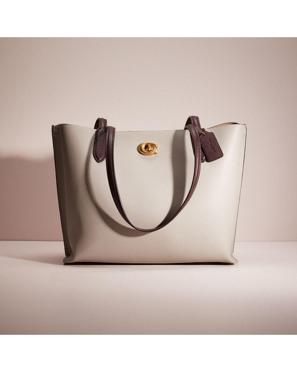 willow tote in colorblock with signature canvas interior