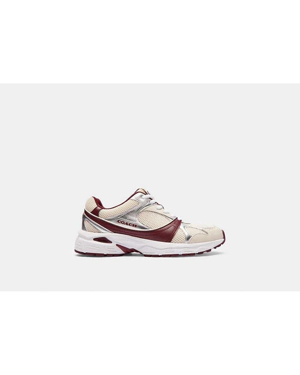 COACH Black Sport Sneaker