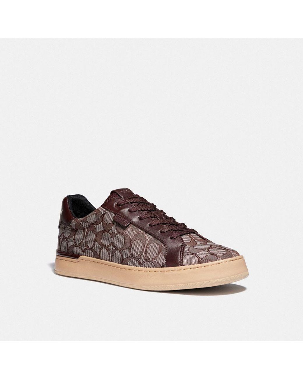 coach lowline low top sneaker
