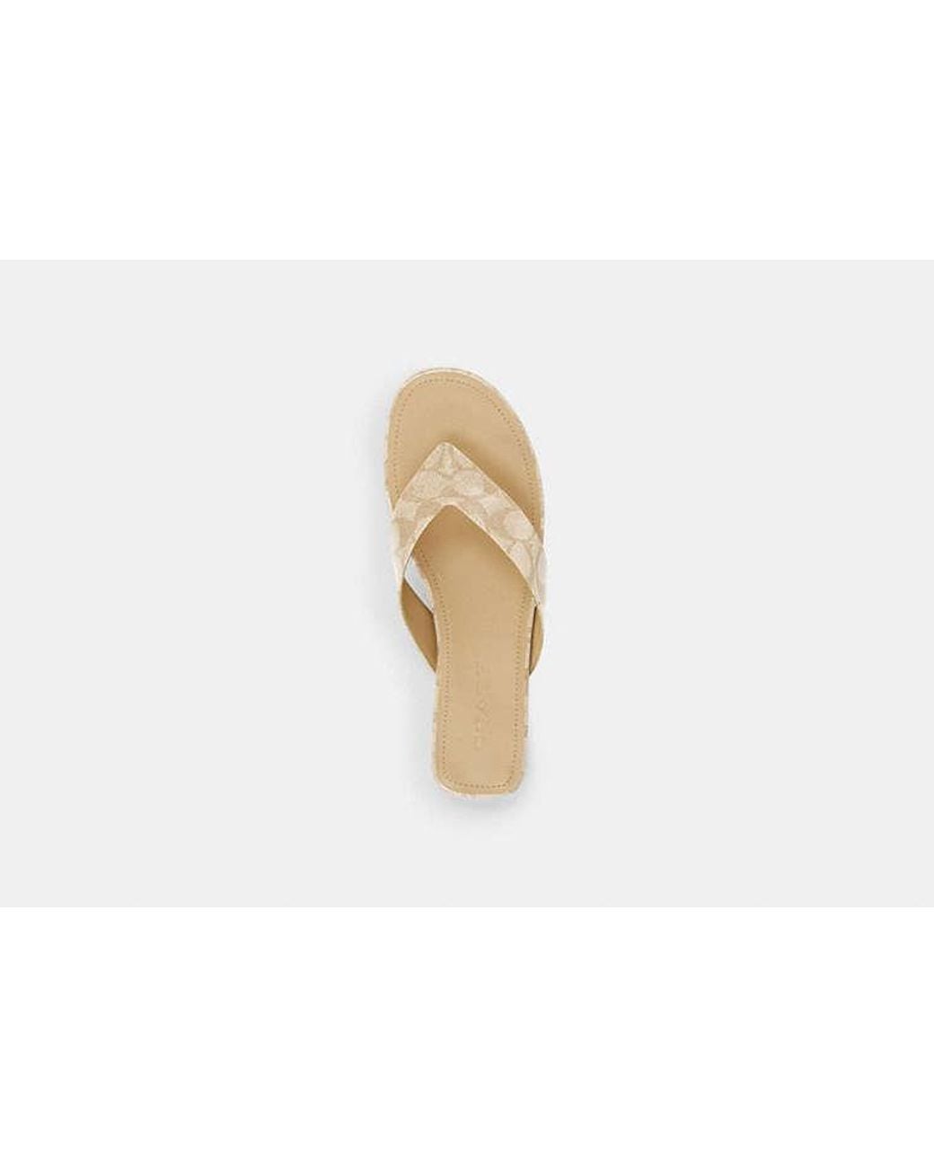 COACH Black Bridgette Sandal