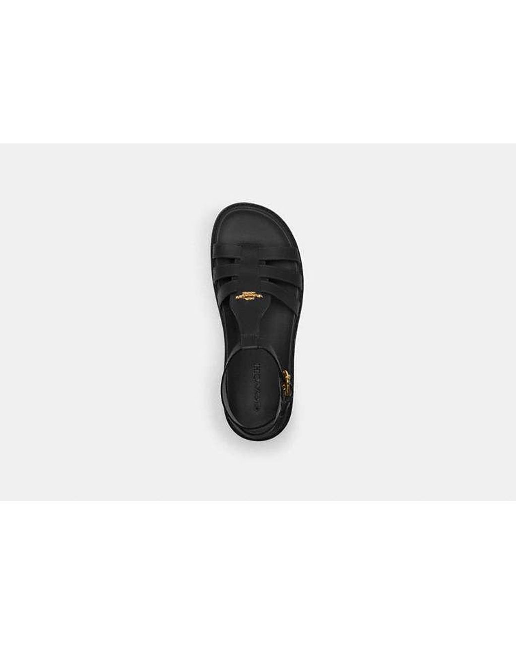 COACH Black Franny Sandal