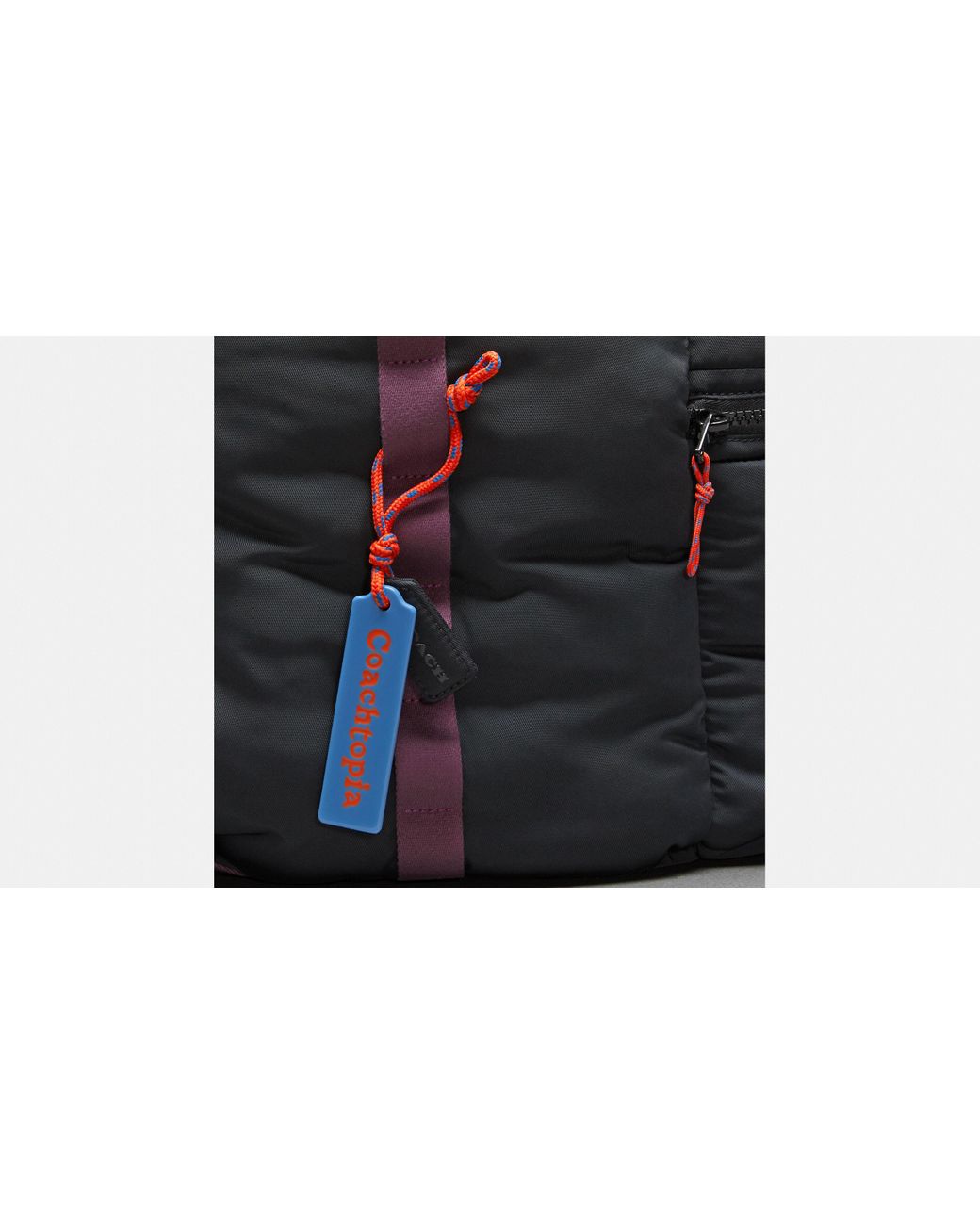 Coachtopia Loop Backpack