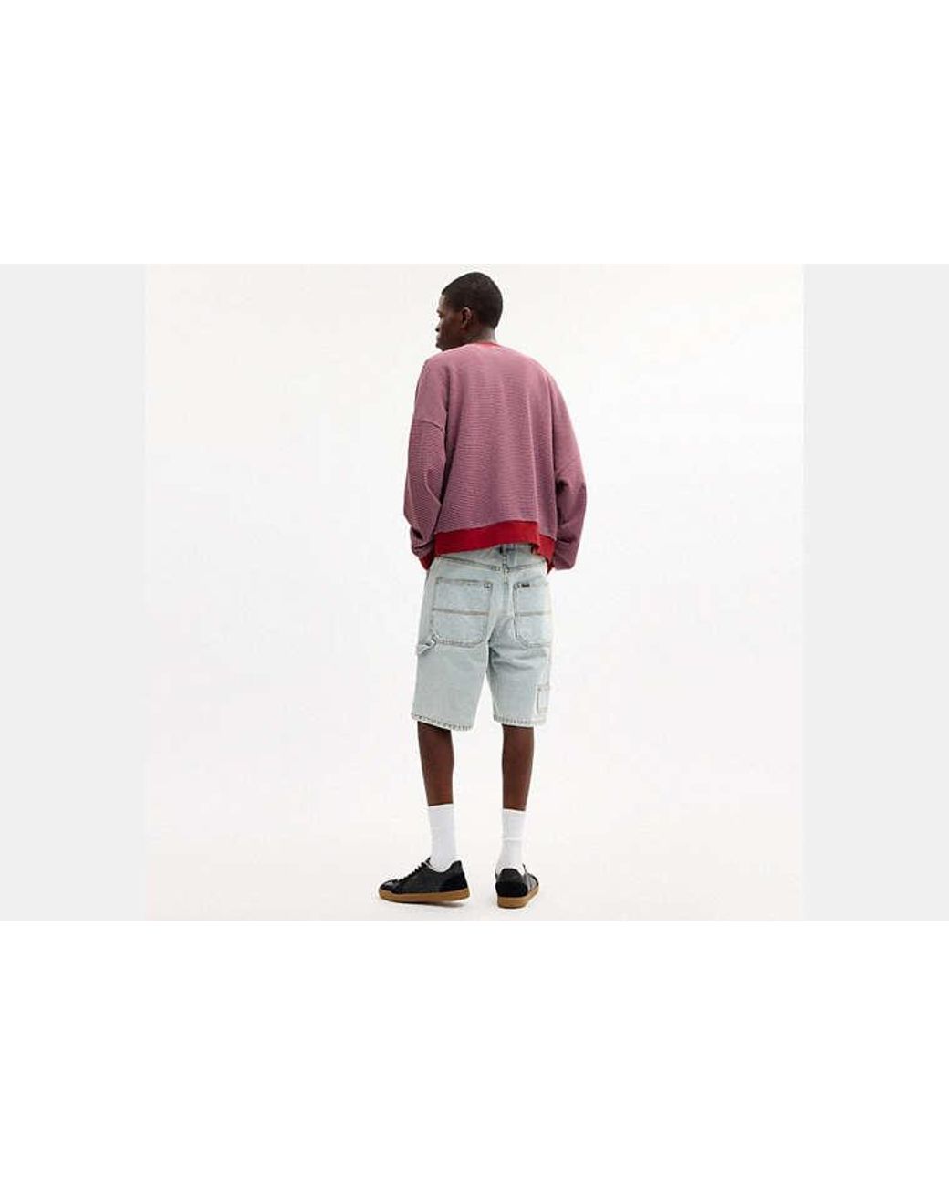 COACH Red Striped Crewneck Sweatshirt for men