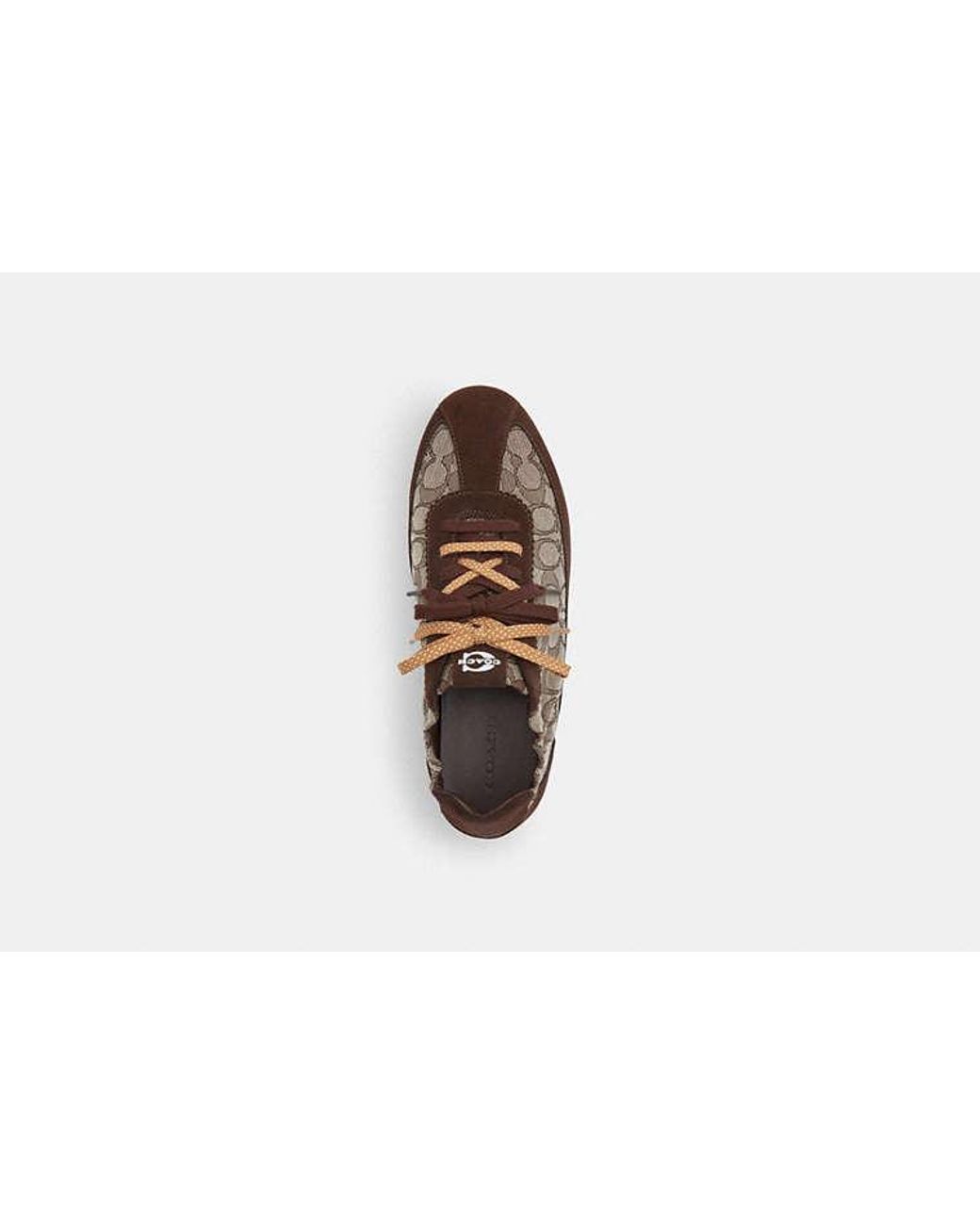 COACH Black Soft Sneaker for men